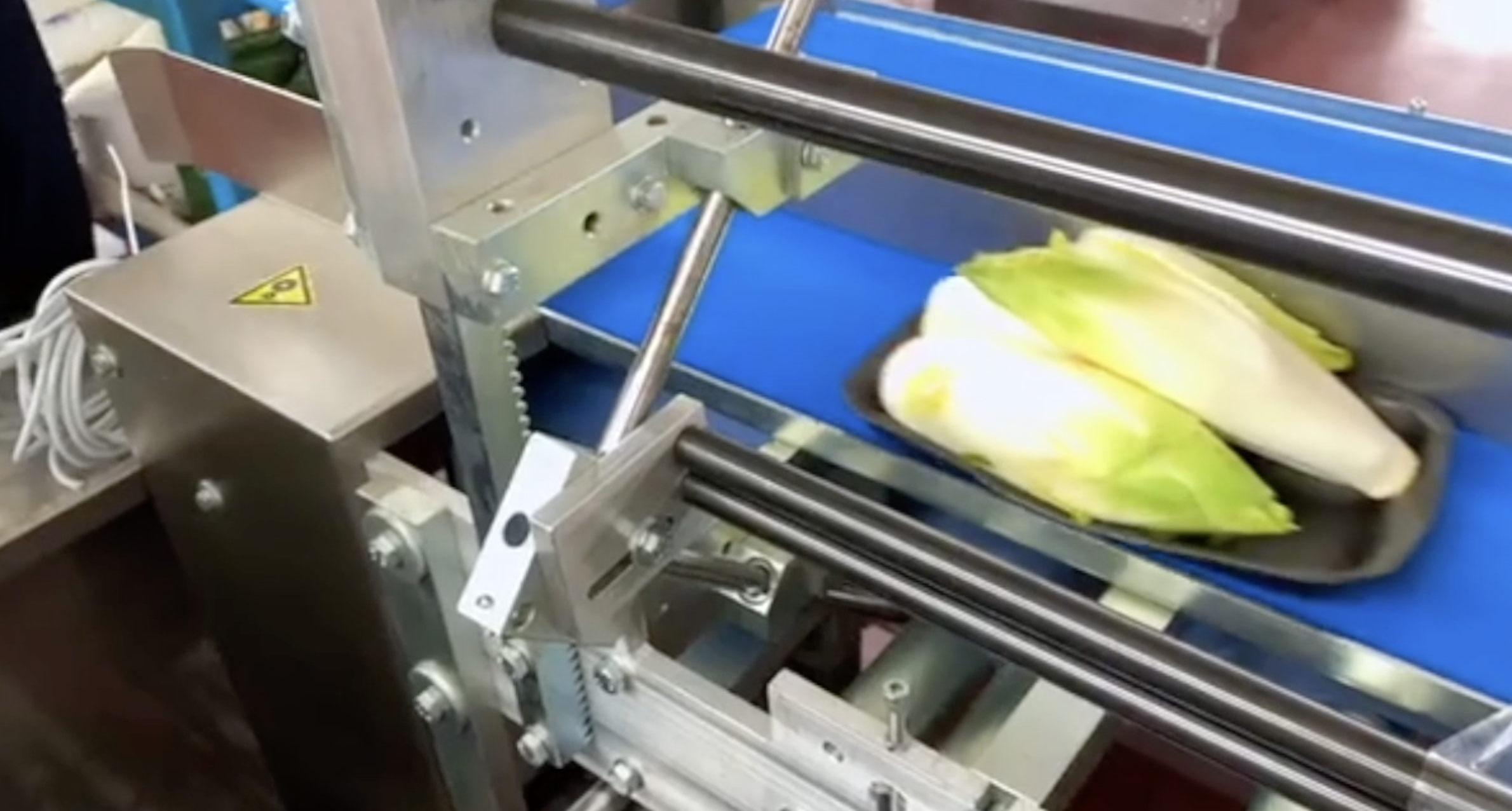Empacadora de vegetales